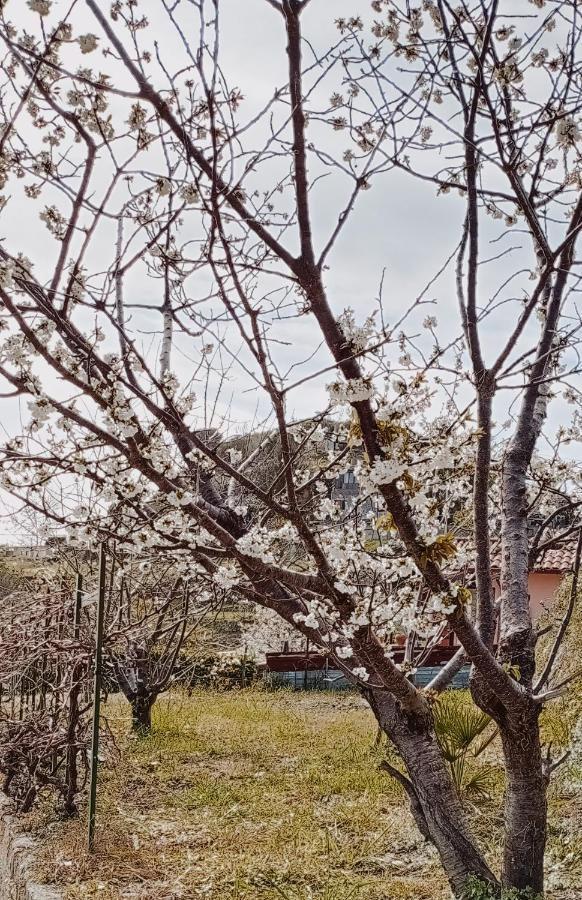 Casa Peidaigo Immersa Nel Verde,Vista Mare E Monti Ventimiglia Exterior foto